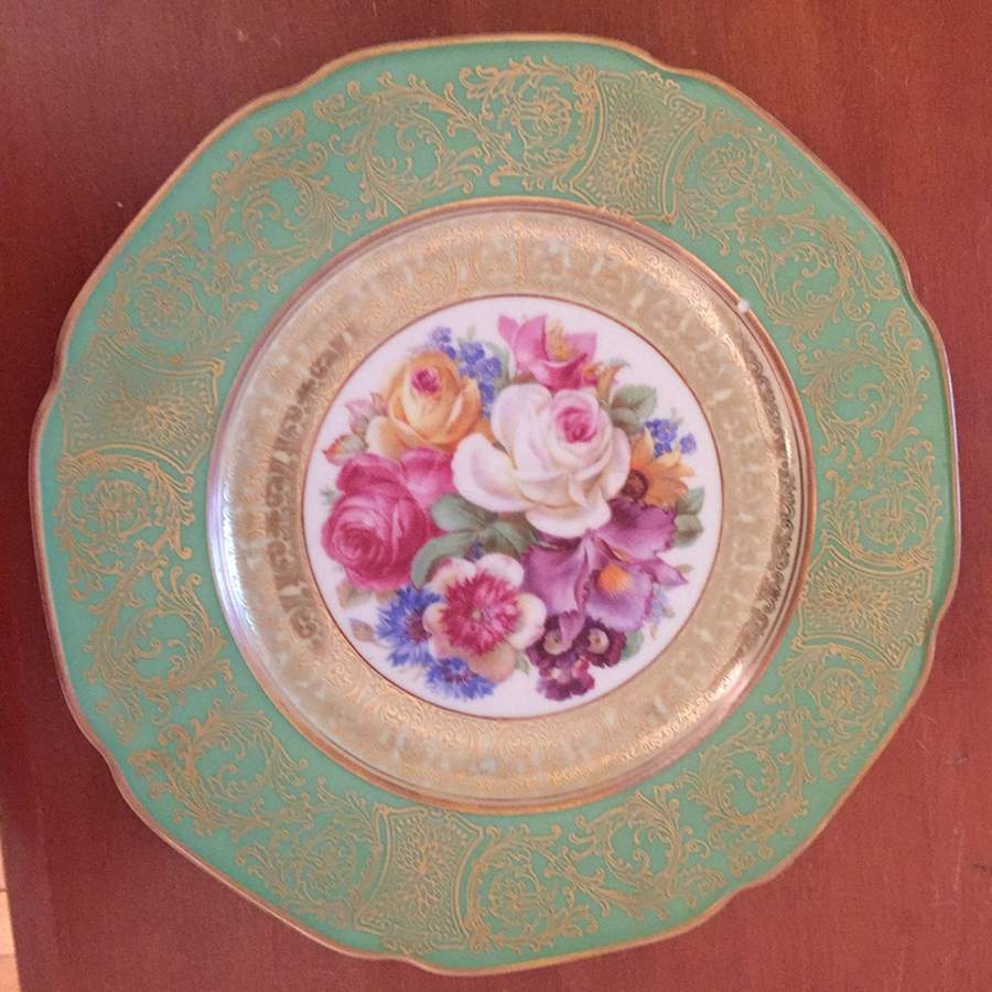 TIR731 Dinner Plate by Tirschenreuth-1