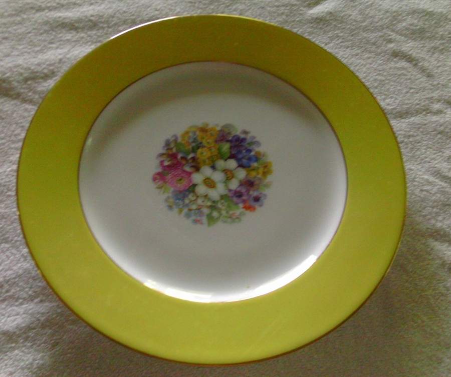 THO606 Dinner Plate by Thomas-1