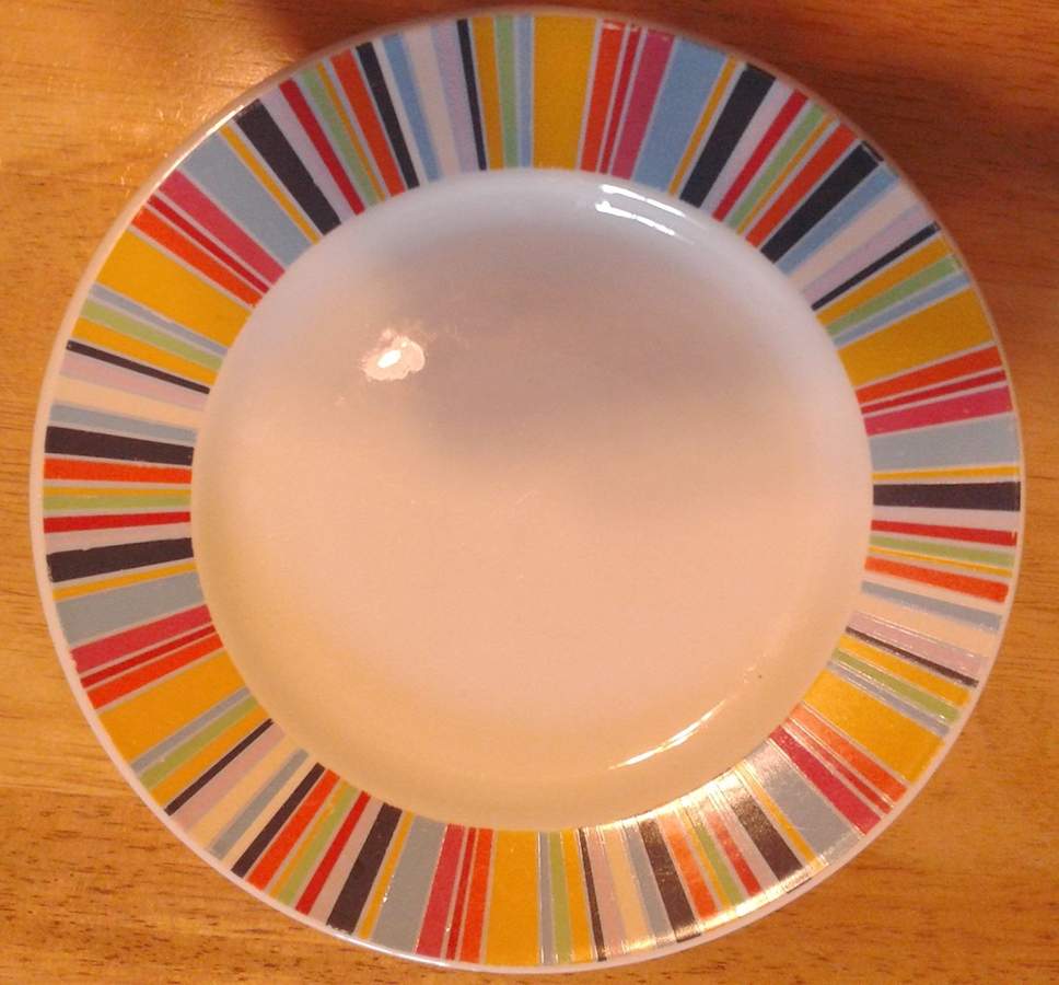 TTO48 Dinner Plate by Totally Today-1
