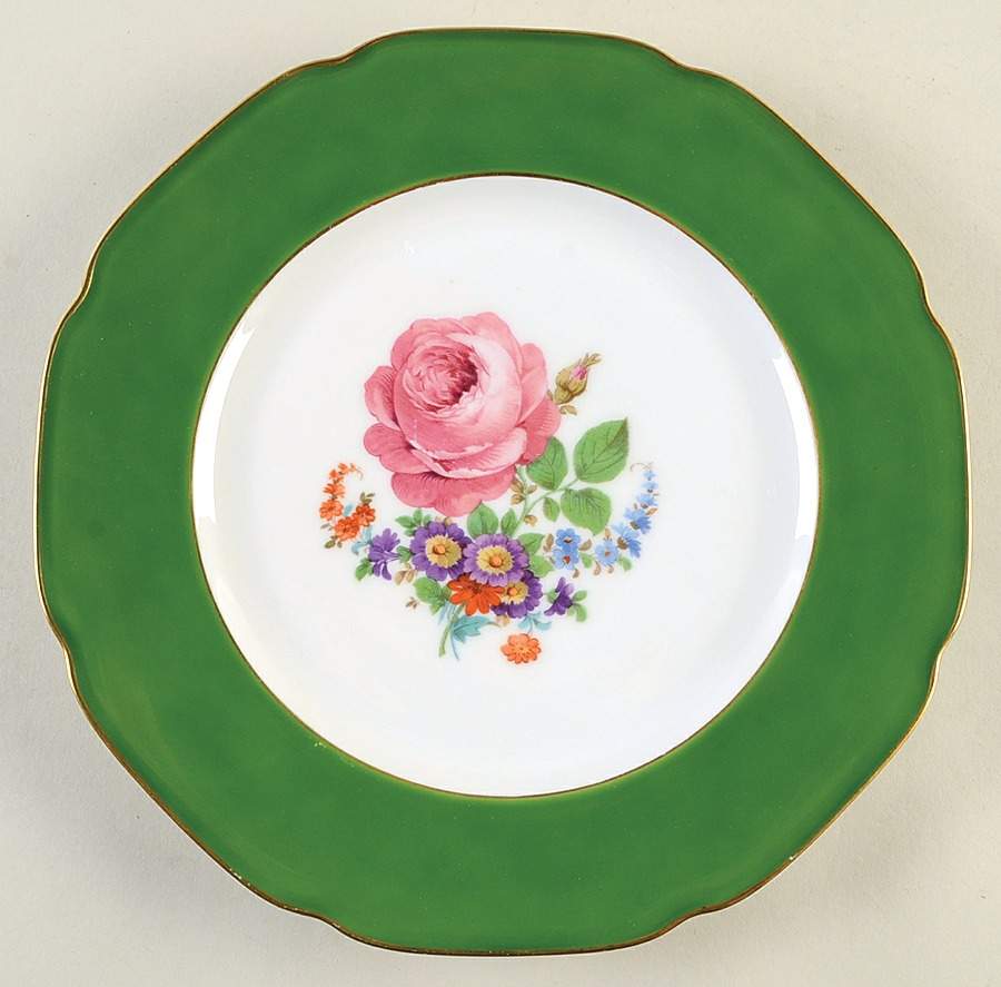 TIR732 Dinner Plate by Tirschenreuth-1