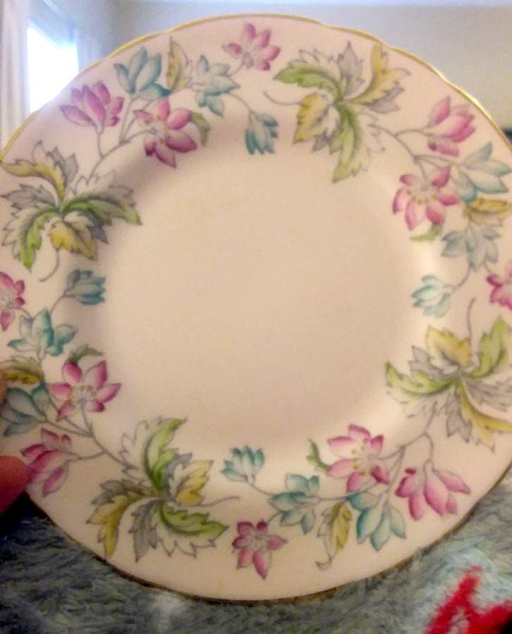TUS216 Salad Plate by Tuscan - Royal Tuscan-1