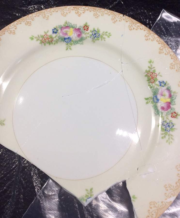 TI26 Dinner Plate by Trico-1