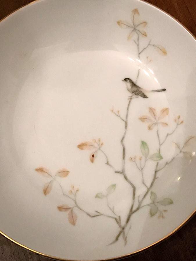 Lyric Dinner Plate by Trend-1