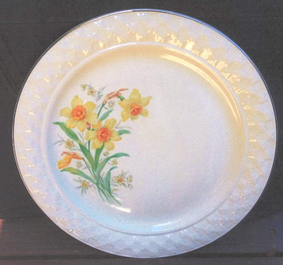 TST791 Dinner Plate by Taylor, Smith & Taylor (Ts&T)-1
