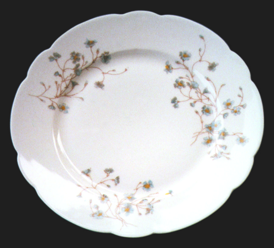 TRV915 Dinner Plate by Tressemanes & Vogt-1