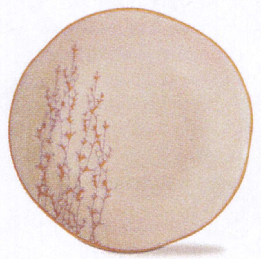 Sprig Appetizer Plate by Tag Ltd-1