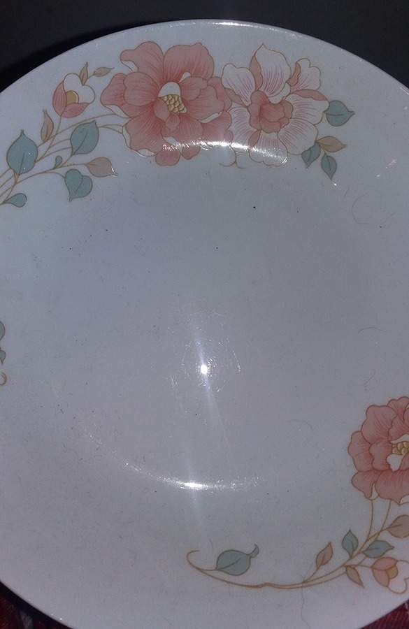 TRS28 Dinner Plate by Trisa-1