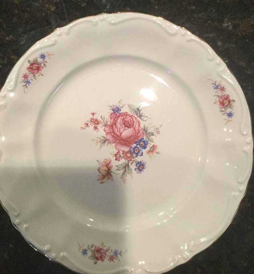 TOG74 Dinner Plate by Tognana-1
