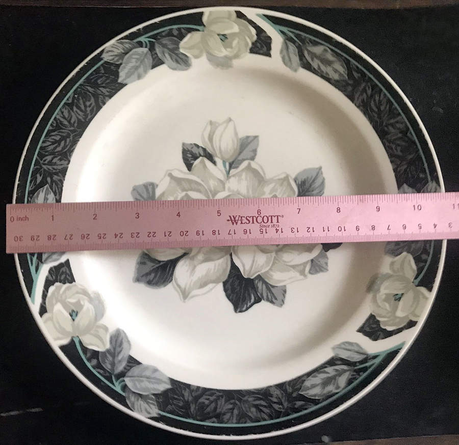 TIE104 Dinner Plate by Tienshan-1