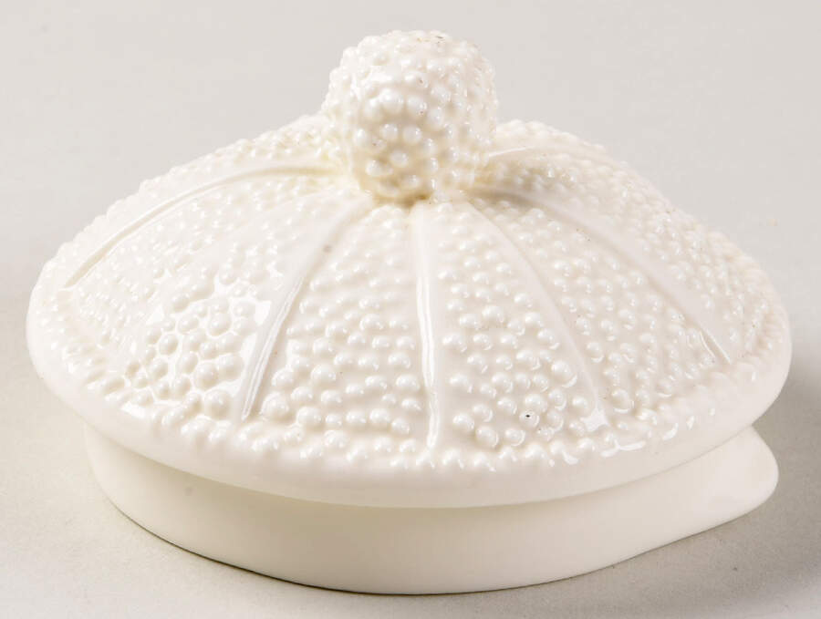 Sea Urchin Cream Lid for Teapot by Tiffany-1