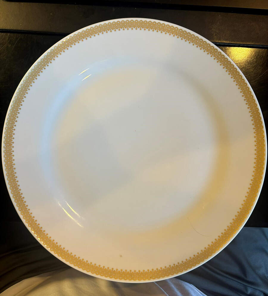 TIR896 Dinner Plate by Tirschenreuth-1