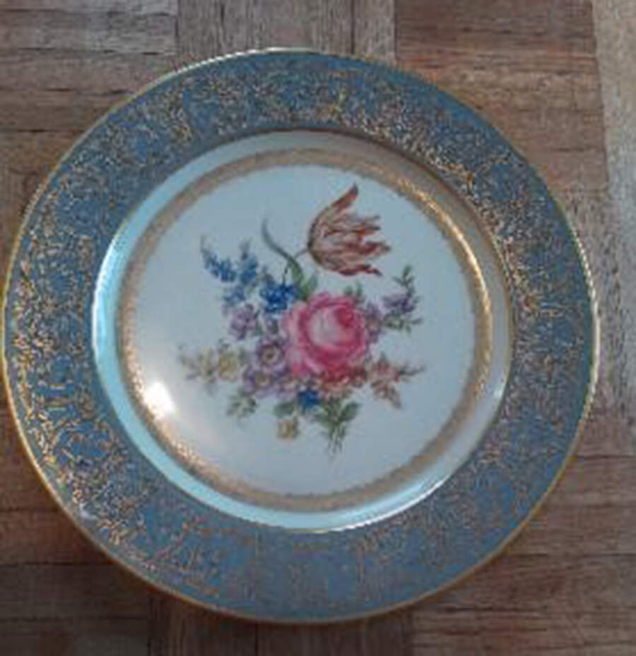 TIR745 Dinner Plate by Tirschenreuth-1