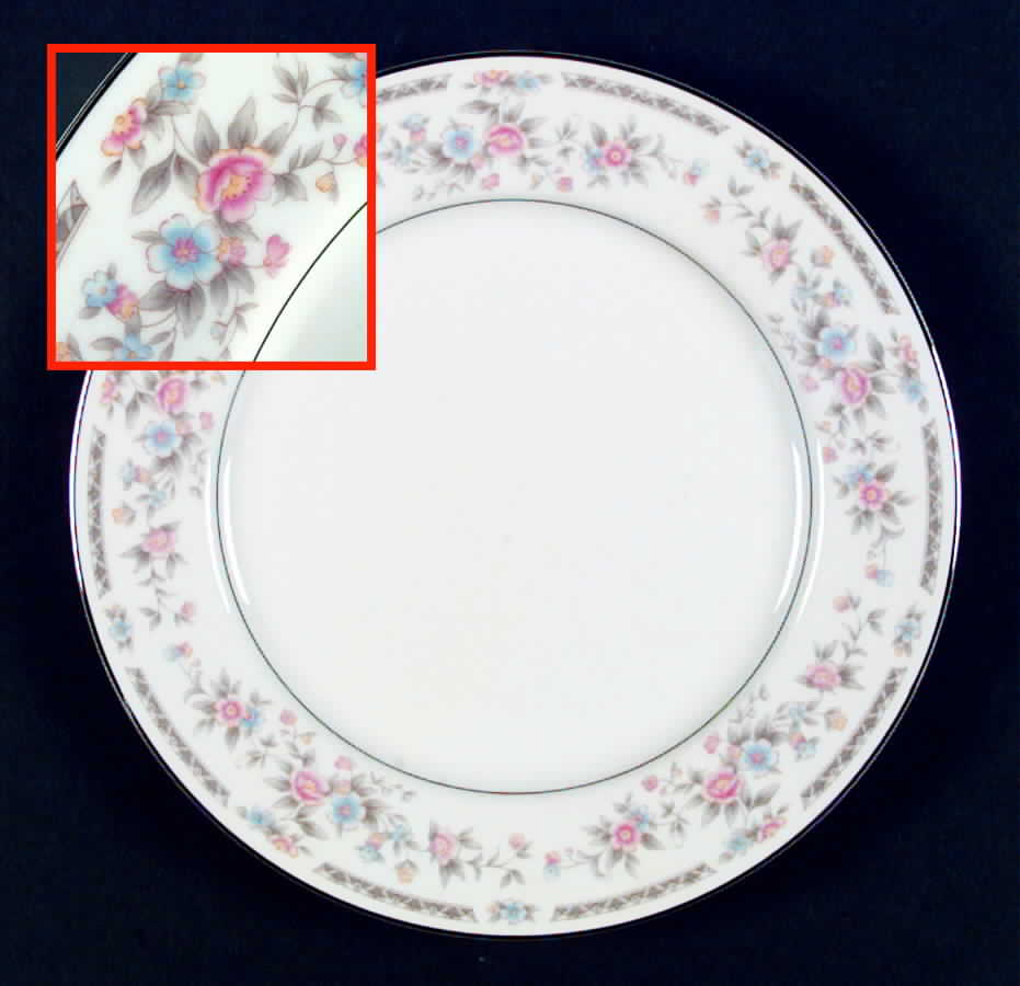 Laura Dinner Plate by United Surgical Steel-1