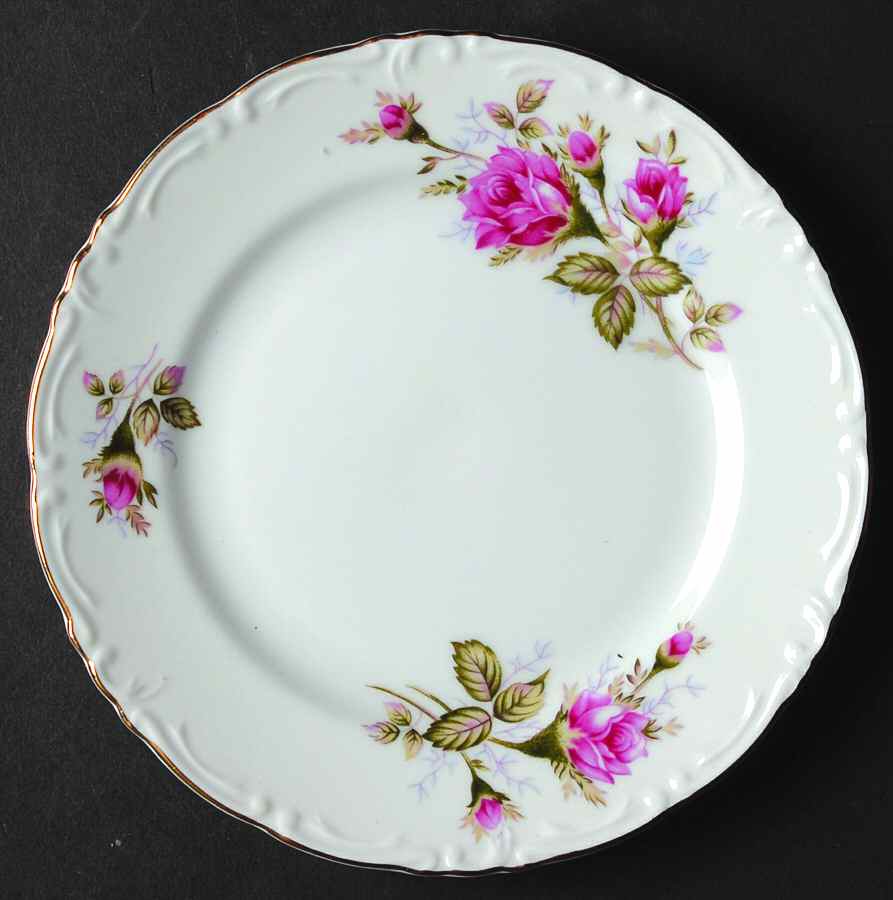 Old Rose Bread & Butter Plate by United Surgical Steel-1