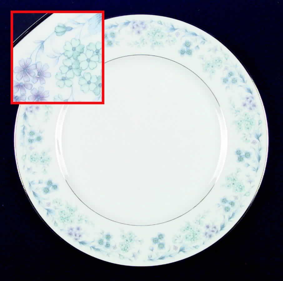 Symphonette Dinner Plate by United Surgical Steel-1