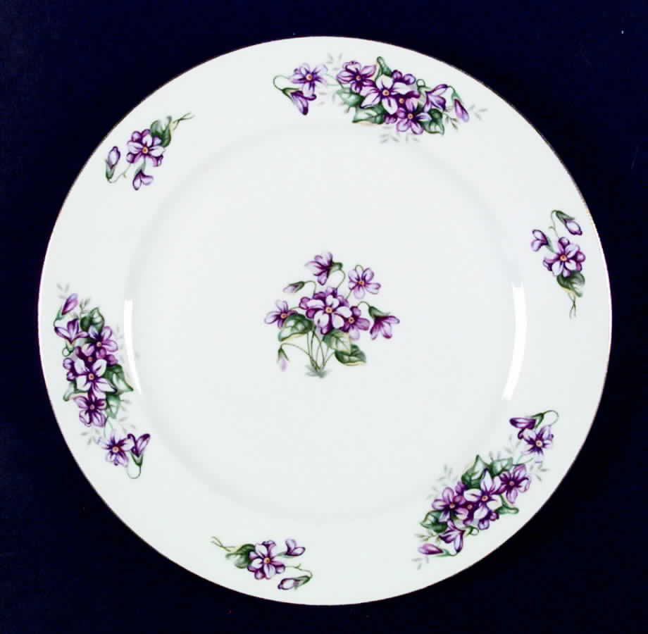 Delicado Dinner Plate by Ucagco-1