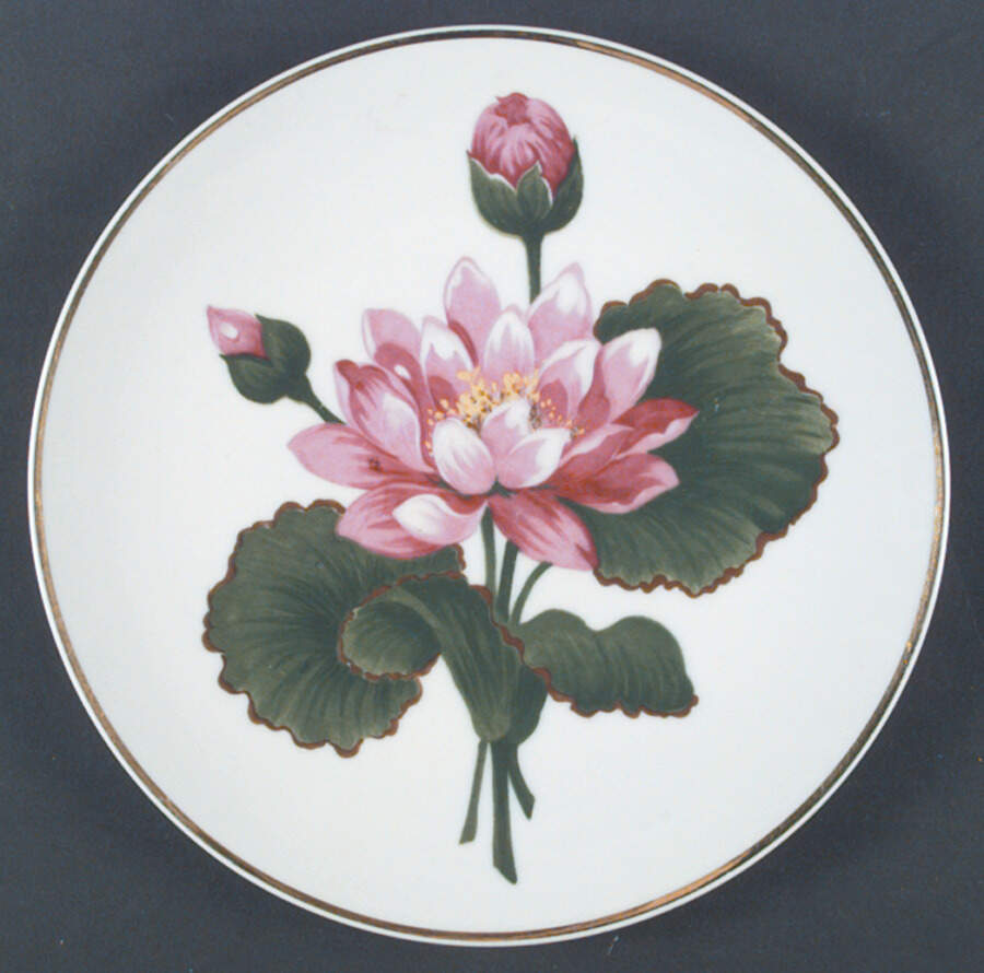 Floral Dinner Plate by Ucagco-1