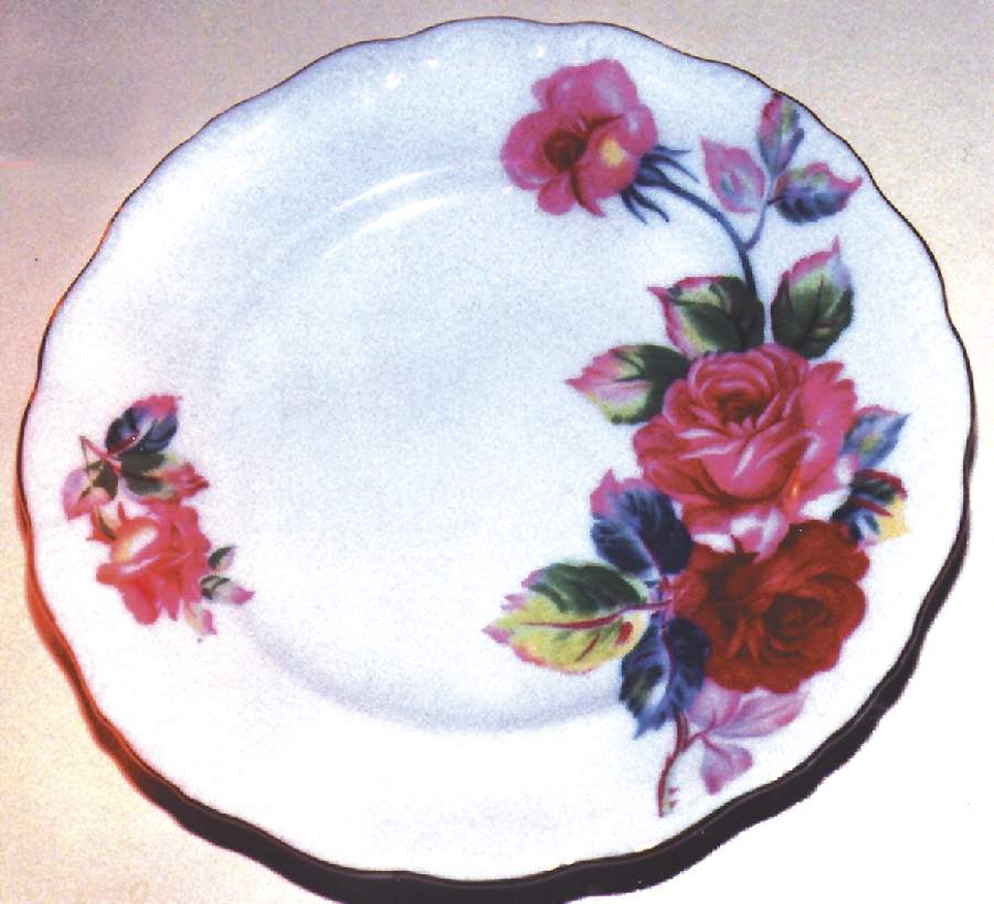 UNC37 Dinner Plate by Union Ceramique-1
