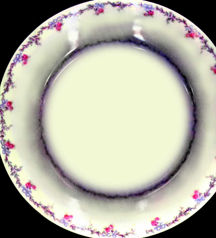 UNC45 Dinner Plate by Union Ceramique-1