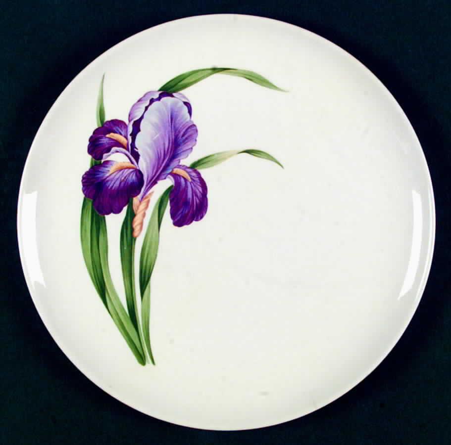 Iris Dinner Plate by Universal-1