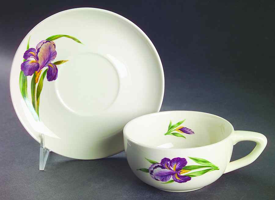 Iris Flat Cup & Saucer Set by Universal-1