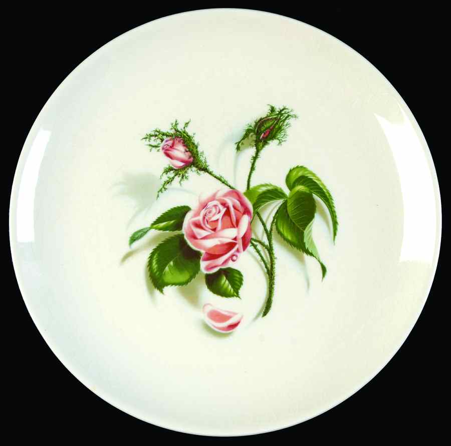 Moss Rose (No Trim) Bread & Butter Plate by Universal-1