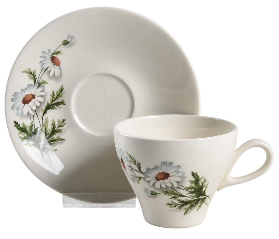 Shasta Daisy Flat Cup & Saucer Set by Universal-1