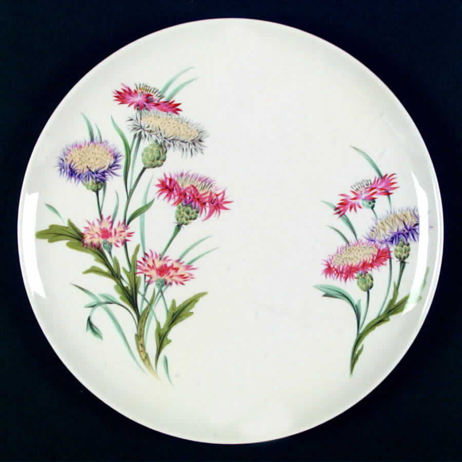 Thistle Dinner Plate by Universal-1