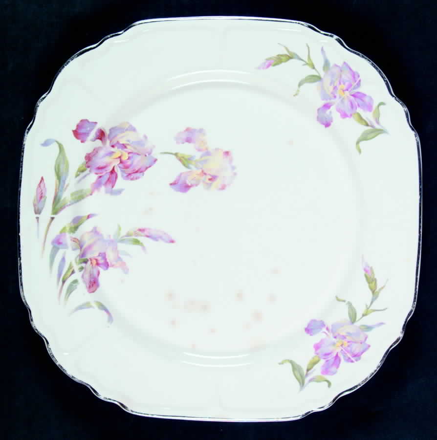 UNI1 Dinner Plate by Universal-1