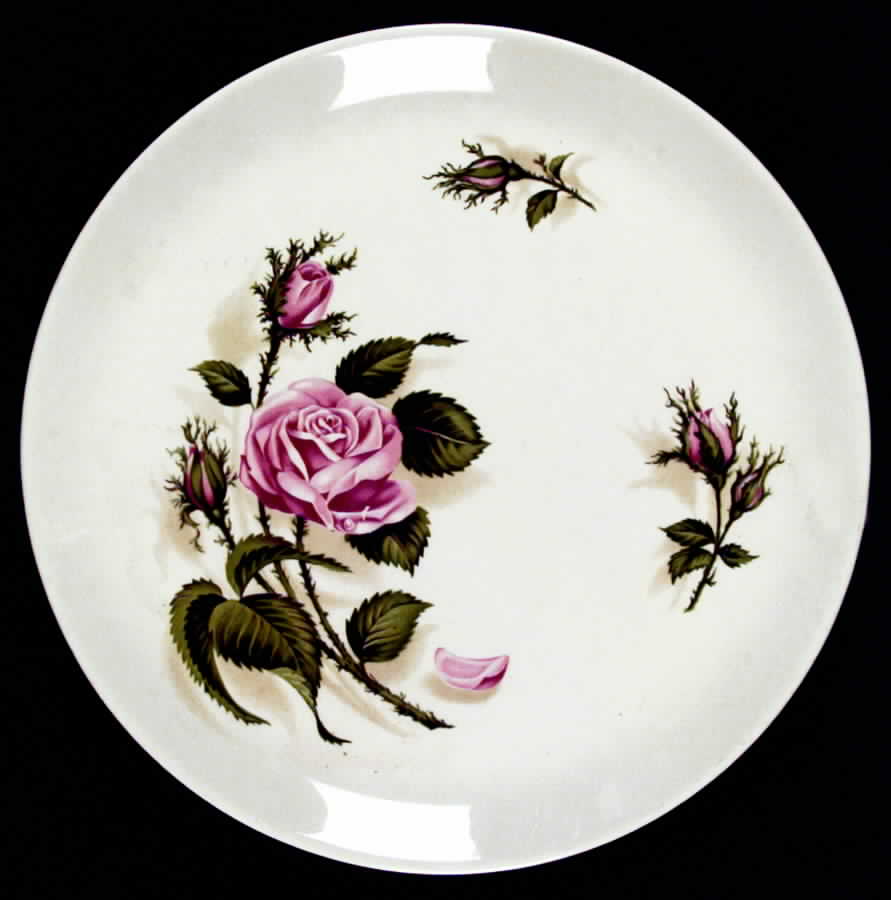 UNI16 Dinner Plate by Universal-1