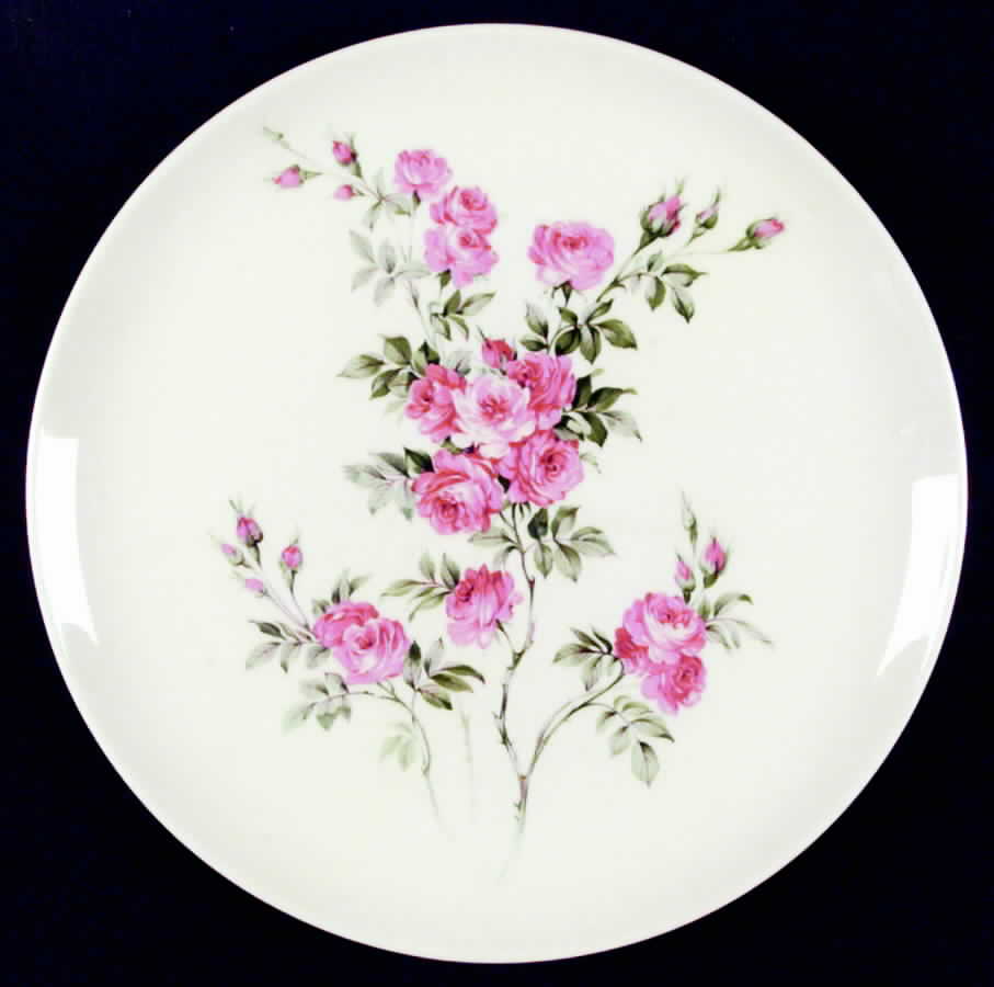 UNI21 Dinner Plate by Universal-1