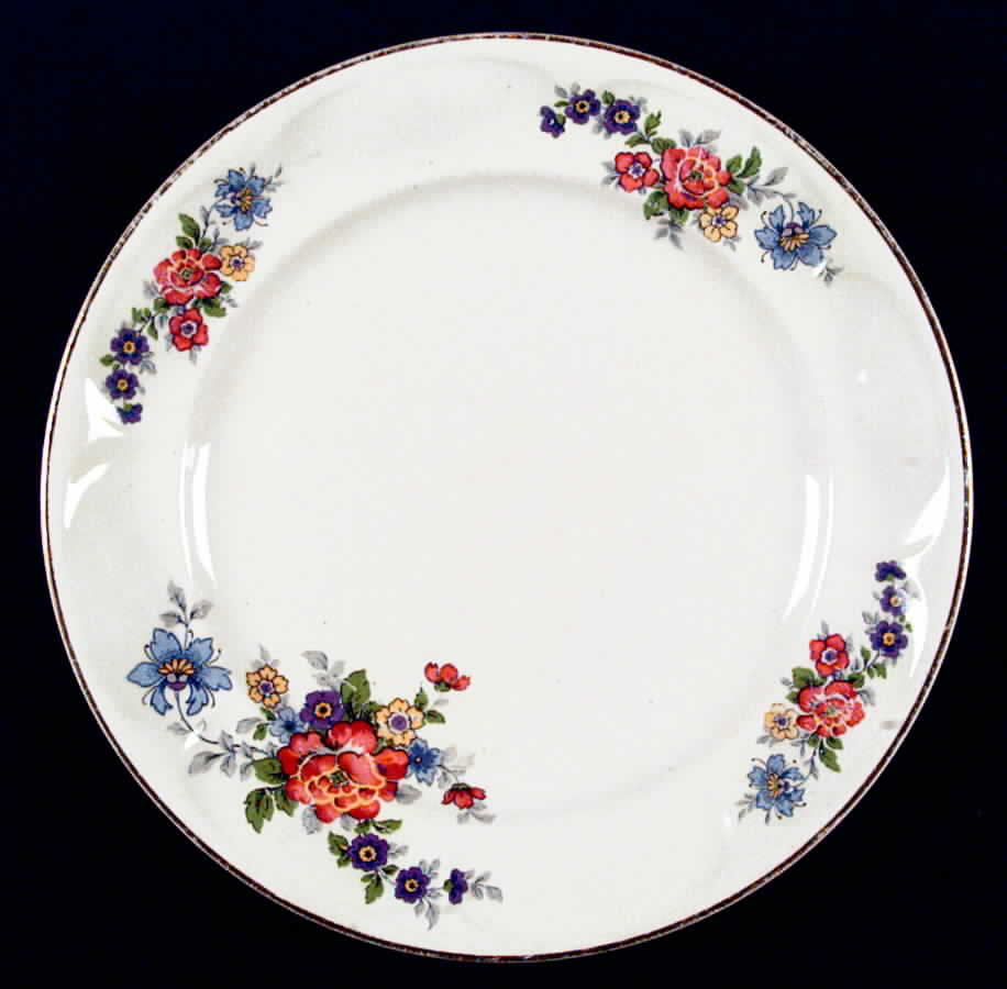 UNI25 Dinner Plate by Universal-1