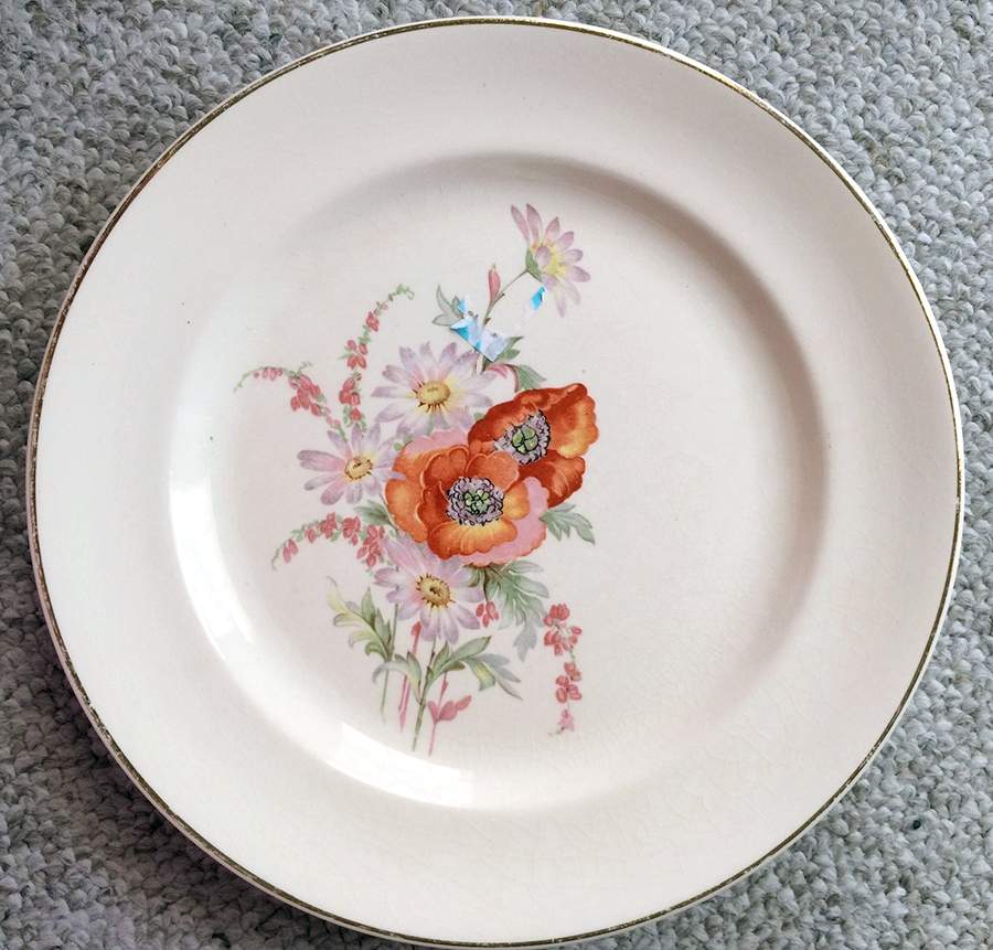 UNI28 Dinner Plate by Universal-1