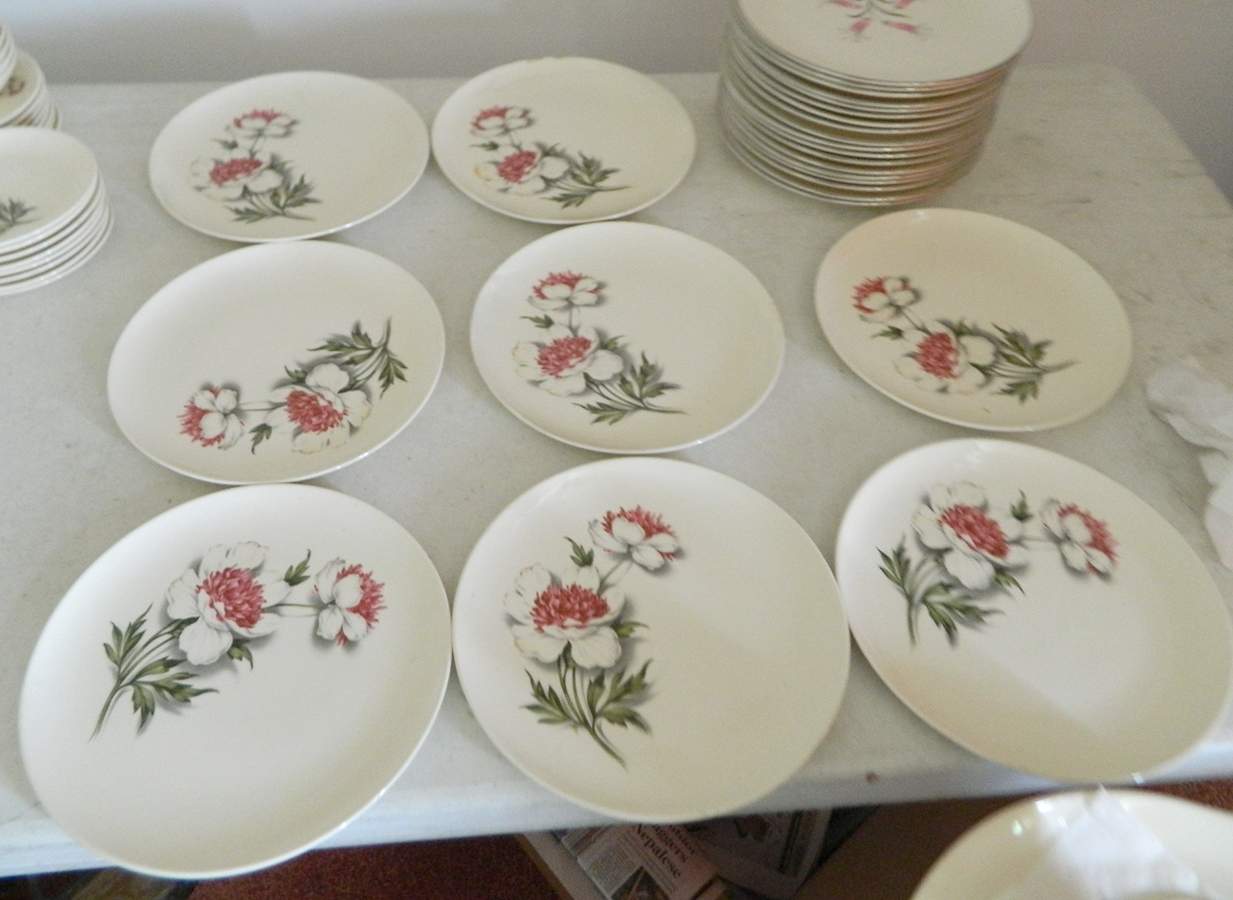 UNI6 Dinner Plate by Universal-1