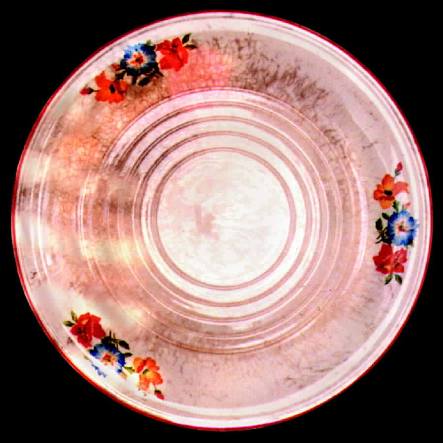 UNI61 Dinner Plate by Universal-1