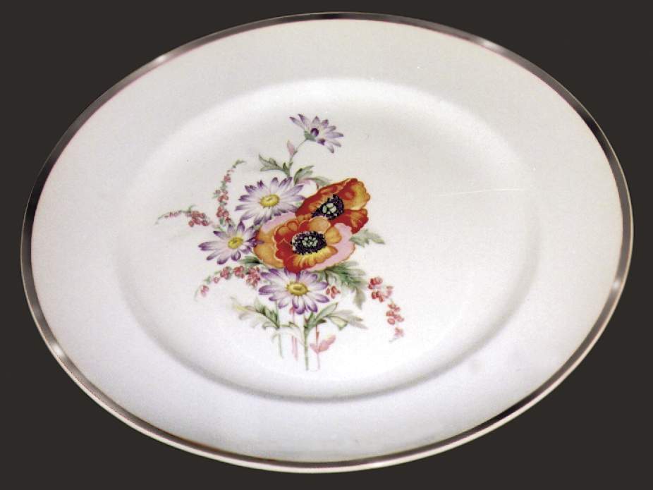 UNI62 Dinner Plate by Universal-1