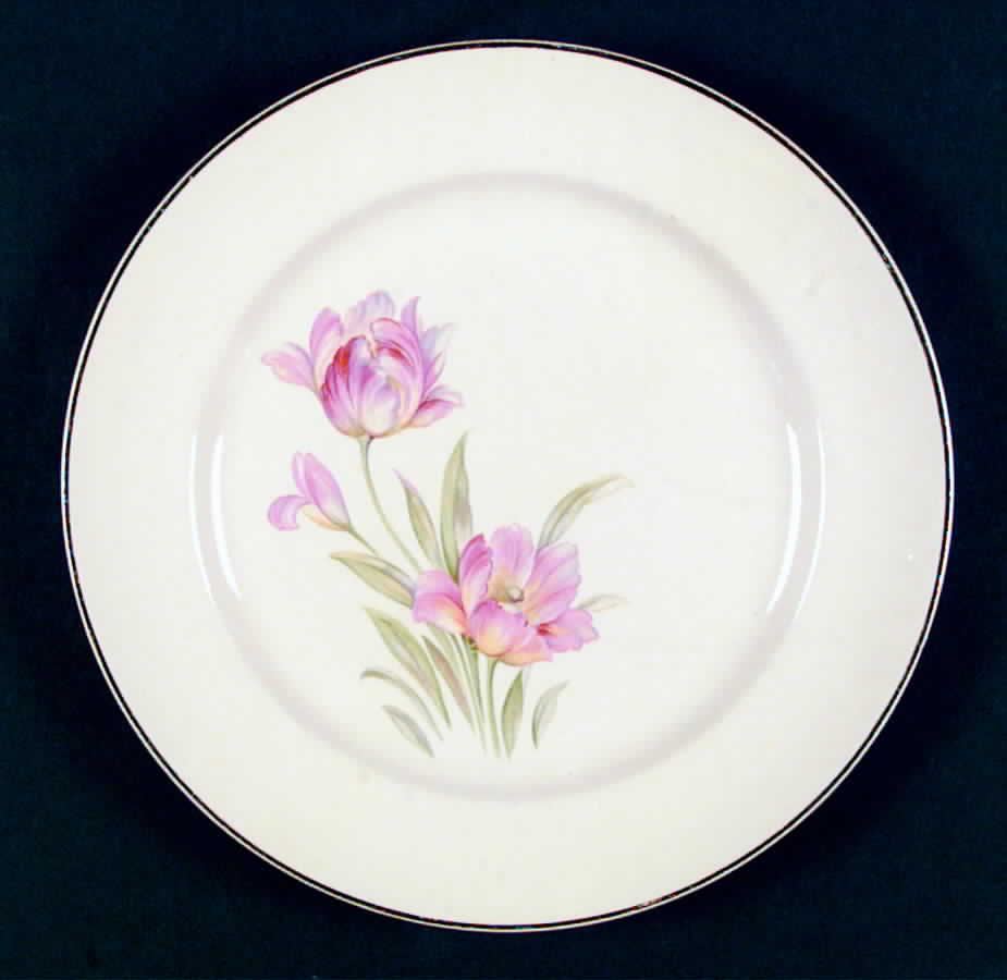 UNI9 Dinner Plate by Universal-1