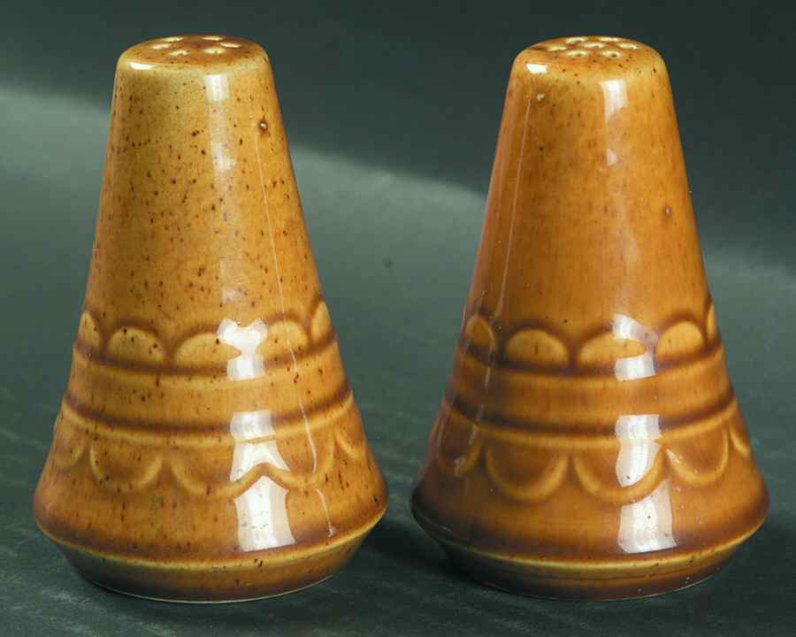 St Regis Salt & Pepper Set by Homer Laughlin -1