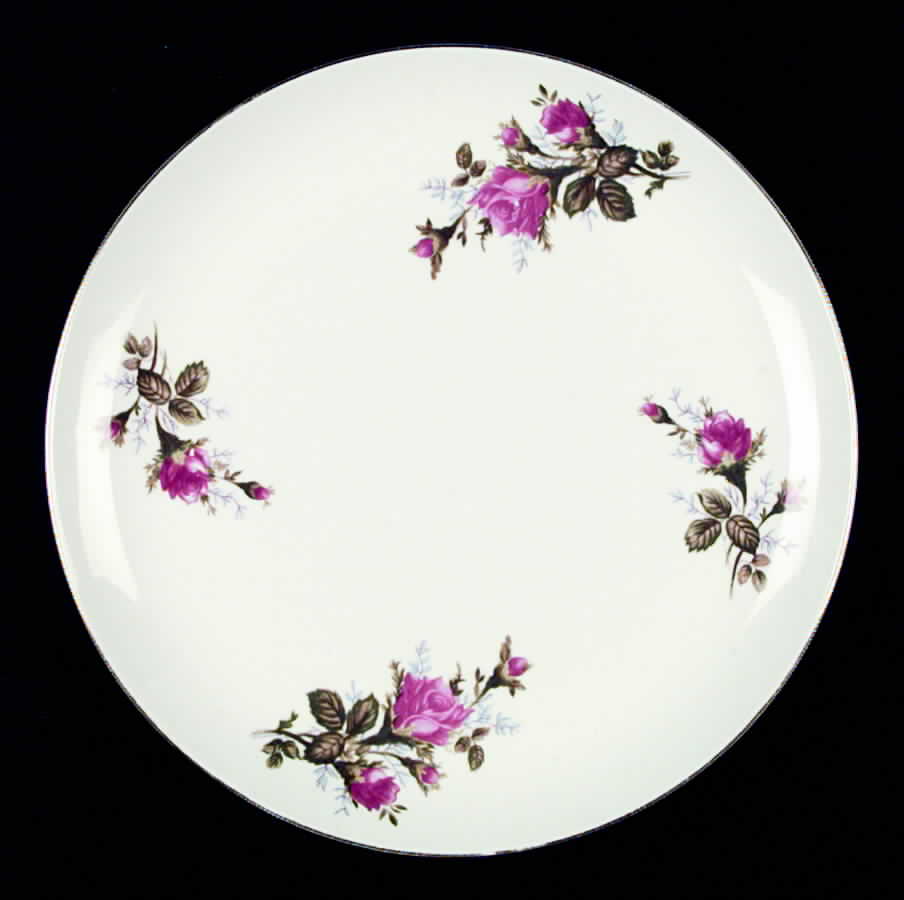 UCA11 Dinner Plate by Ucagco-1