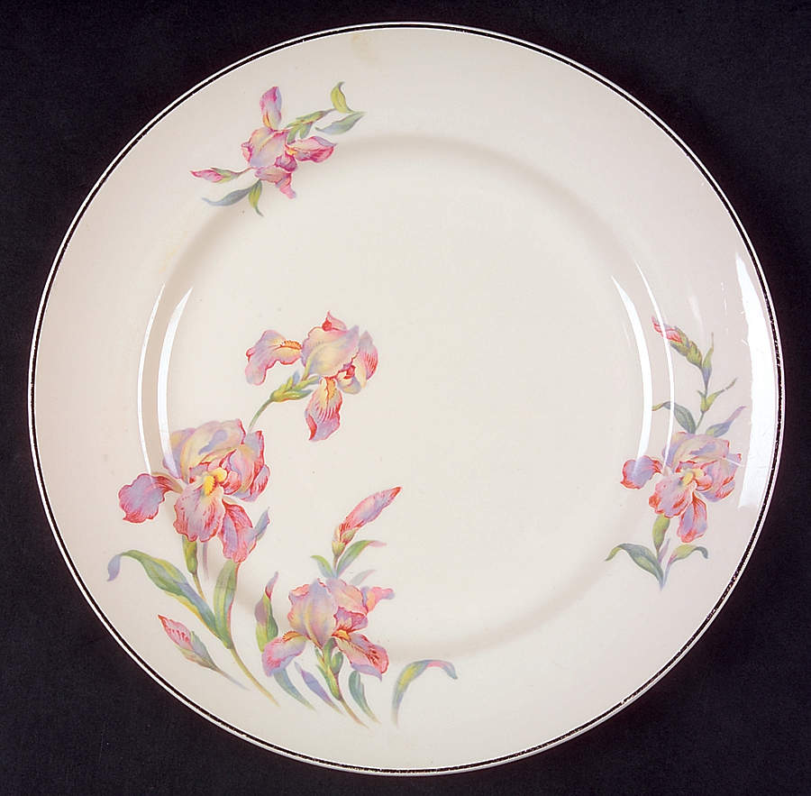 Iris Dinner Plate by Universal-1