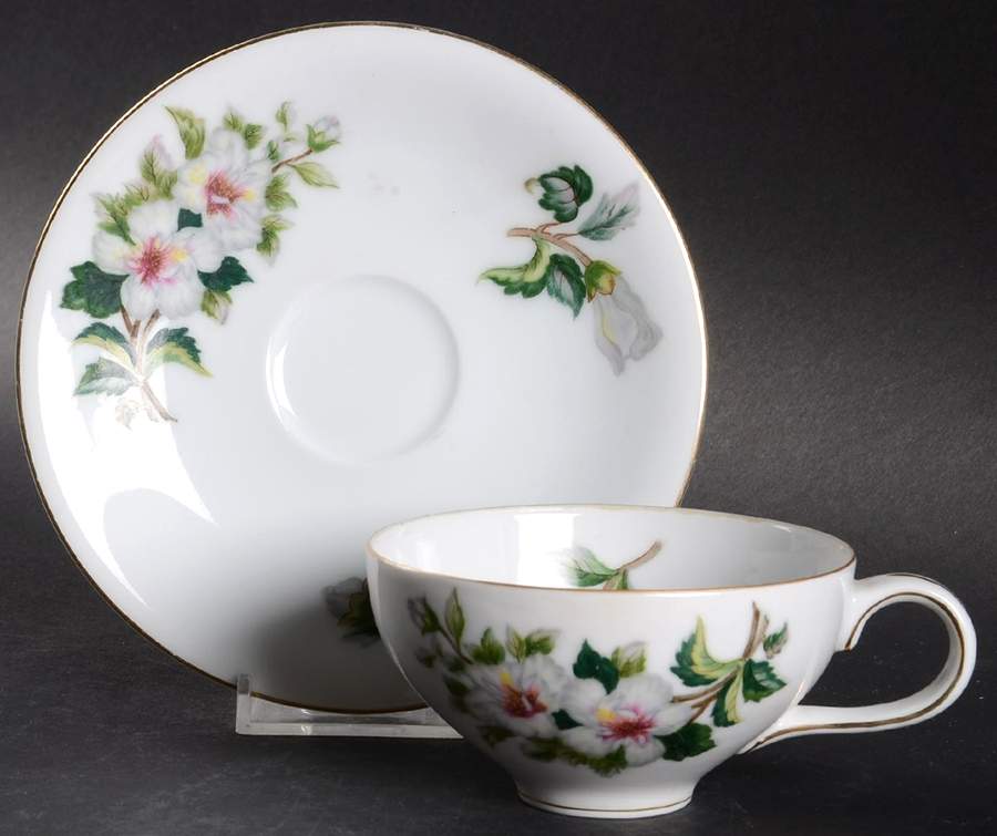 Diana Flat Cup & Saucer Set by Ucagco-1