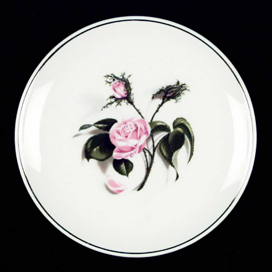 Moss Rose Bread & Butter Plate by Universal-1