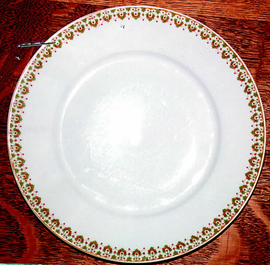 UNC56 Dinner Plate by Union Ceramique-1