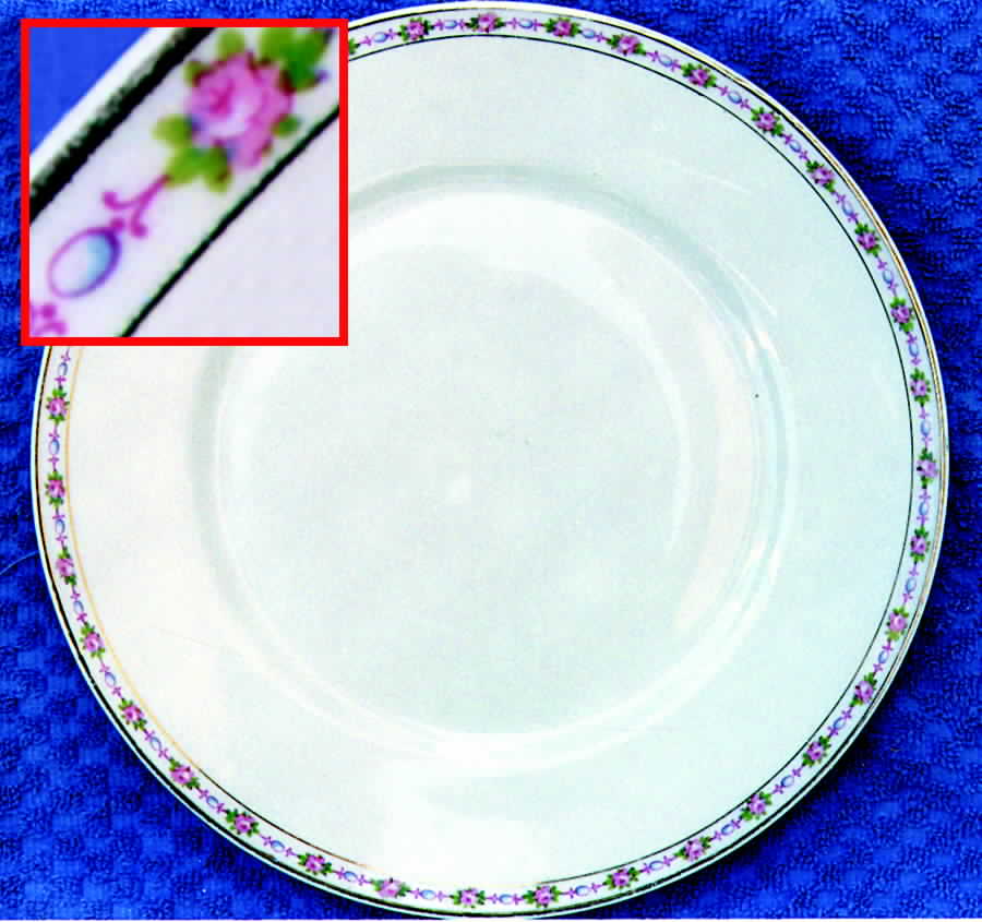 UNC67 Dinner Plate by Union Ceramique-1