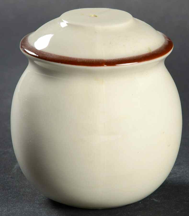 Desert Flower Salt Shaker by United Surgical Steel-1