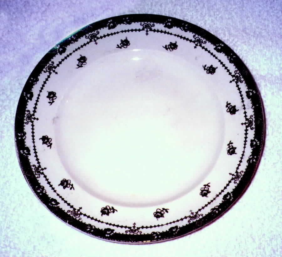 Lille Dinner Plate by Upper Hanley-1
