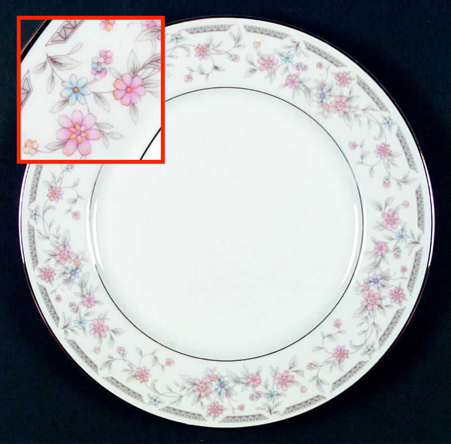 Claridge Dinner Plate by United Surgical Steel-1