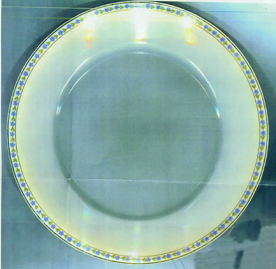UNC86 Dinner Plate by Union Ceramique-1