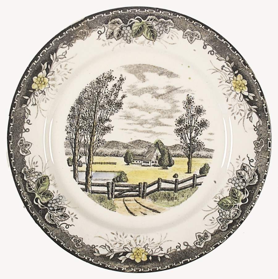 Spring Valley Dinner Plate by Unknown Manufacturer-1