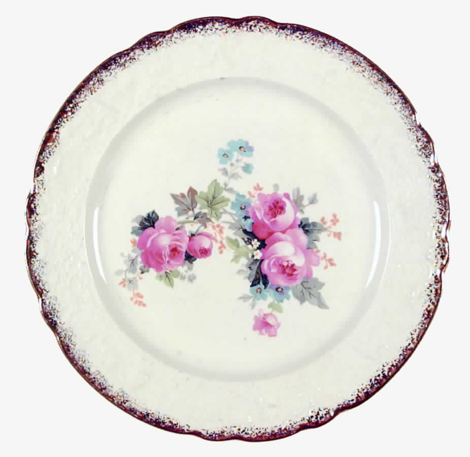UNI101 Dinner Plate by Universal-1